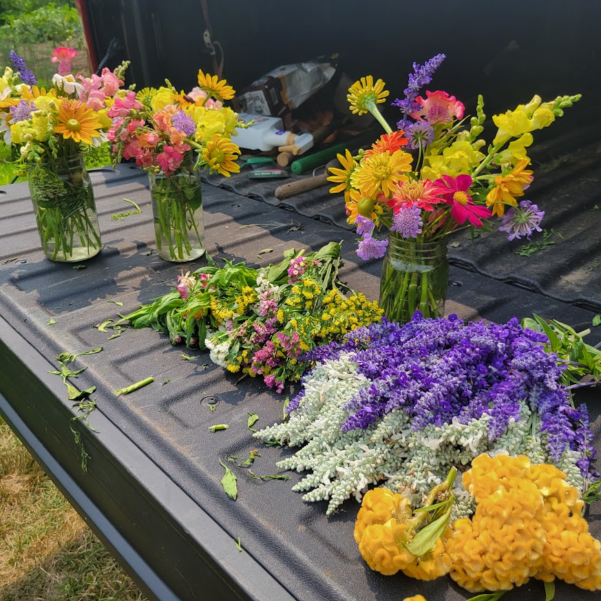 Arranging in the field